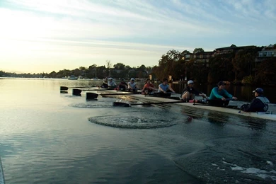 What Rowing Has Taught Me About 3D Marketing