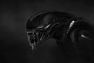 Black Alien Desktop Backgrounds HD 1920x1200