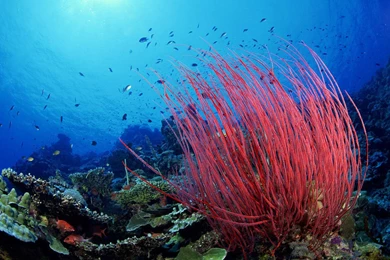 30 Sea Photos Wallpapers Pictures