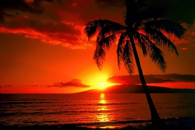 Tag Island Sunset Wallpaper Images Photos Pictures And