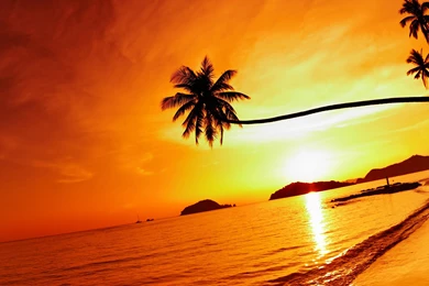 2593 Tropical Island Sunset Wallpapers 1 Tropical Beach Wallpapers 3 ...