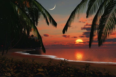 Tropical Island Sunset   Wallpaper.