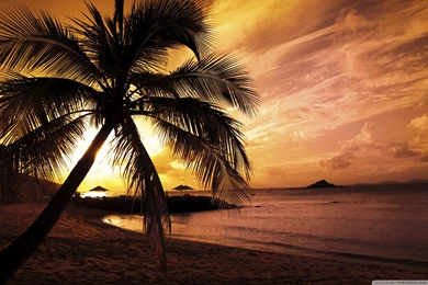 Island Beach Sunset   Wallpaper.