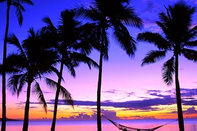 Fiji Islands Wallpapers   Wallpapers Zone