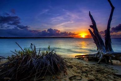 My Sunset Lite Live Wallpapers For Android   Android Live Wallpapers ...