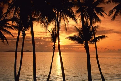 Tropical Island Sunset   Flikie Wallpapers