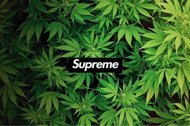 Supreme Wallpapers