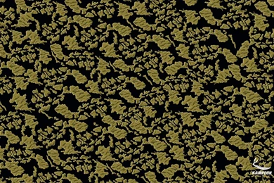 Index Of /img/kampeon