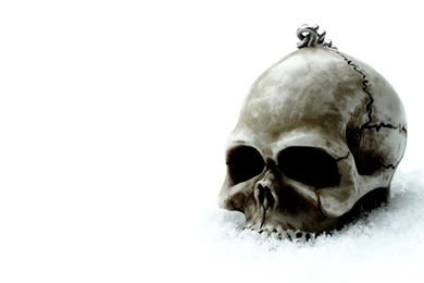 Skull Wallpapers 3D