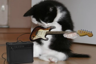 1024x768 Guitar Hero Desktop PC And Mac Wallpapers