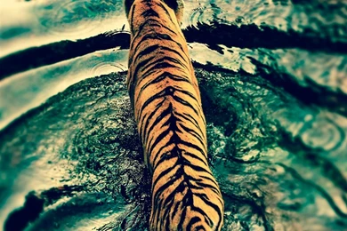 Water iPad Wallpapers