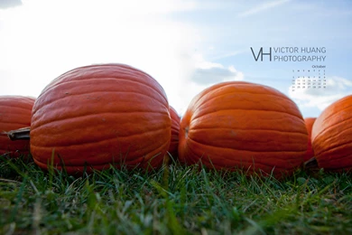 October Wallpapers « Victor Huang Photography