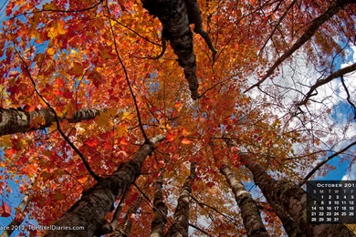 FREE Desktop Calendar Wallpapers For October