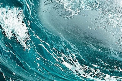 Addmefast Bot Suite V4.2.2.rar