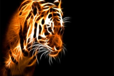 Animals,tigers Animals Tigers Fractalius Black Backgrounds 1024x768 ...