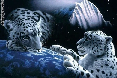 Noble Tiger Backgrounds   Twitter & Myspace Backgrounds