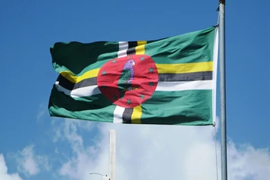 My Life Like: 11/14/12