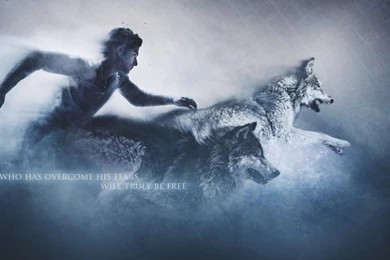 Teen Wolf Wallpapers