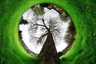 Nature Wallpaper: Under The Tree Wallpapers Desktop Backgrounds HD ...