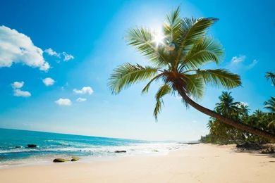 Sunny beach wallpapers live wallpaper for pc 1024x768.jpg