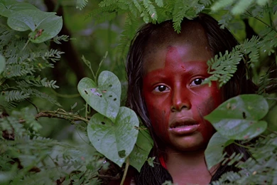 Download Movies Baraka Wallpapers 1920x1080