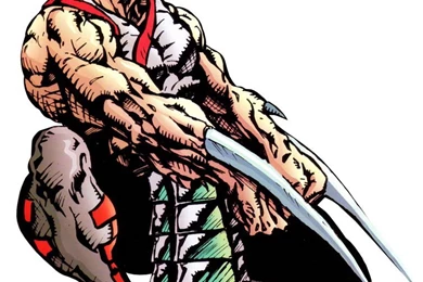 Baraka From MK:. Infos And Art About The Wild Tarkatan