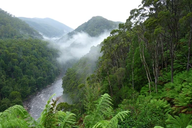 Tasmania Australia HD Wallpapers