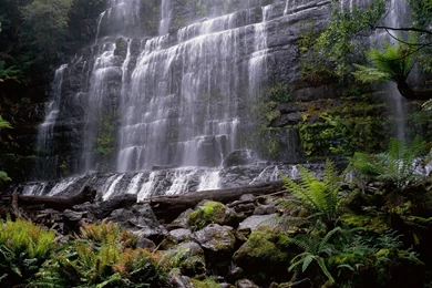 Tasmania – A Perfect Place For Holidays