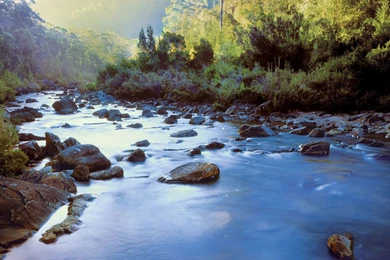 Tasmania Travel Guide