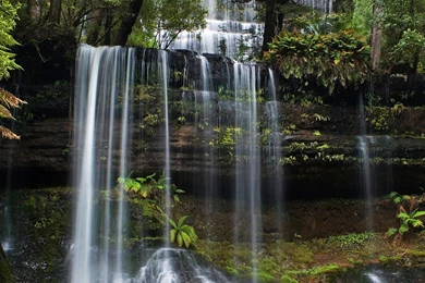 Russell Falls, Tasmania, Australia 1920×1080 HD Travel Nature ...