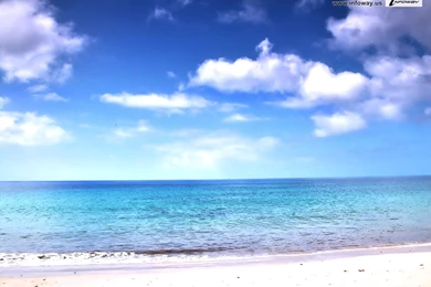 Nature Beach Photo 75 Of 346