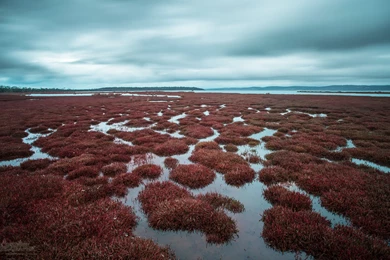 Coles Bay, Tasmania   Australian Geographic