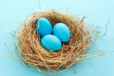 Three Blue Eggs And Blue Background, Fitting Each Other Quite Well ...