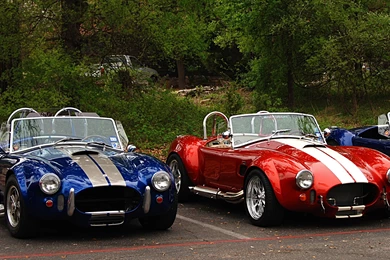 Shelby Super Cobra Hot Rod Muscle Cars Wallpapers