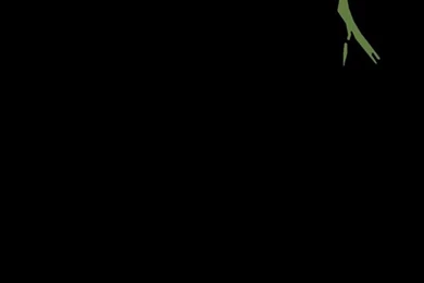 The Dark Knight Joker iPhone 5 Wallpapers