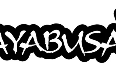 MMAmania.com Announces Winners Of UFC 134 Contest From Hayabusa ...