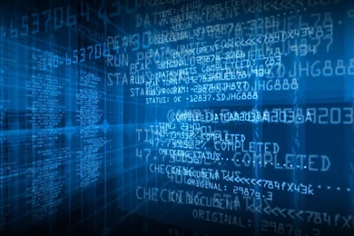 EXOLOGY Software Engineering