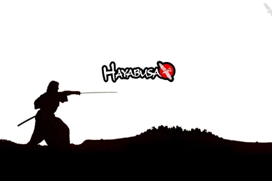 Download Sports Mma Wallpapers 1280x800