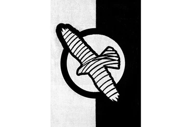 Buy Hayabusa MMA Beach Towel In Black And White From Fight Co