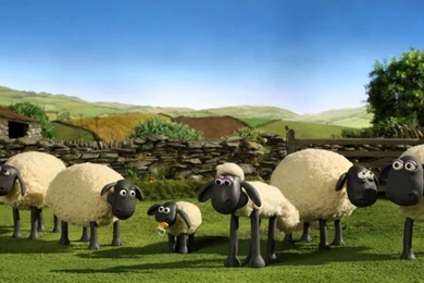 Shaun The Sheep HD Wallpapers For Desktop Download