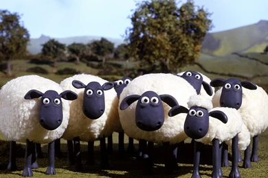 Shaun The Sheep Wallpapers 11170   Pacify Mind