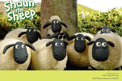 Shaun The Sheep Wallpapers 10   HD Wallpaper Backgrounds