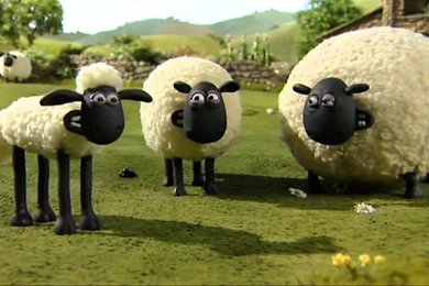 Shaun The Sheep HD Wallpapers For Desktop Download