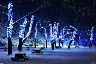 Christmas_blue_lights_1920x1200.jpeg