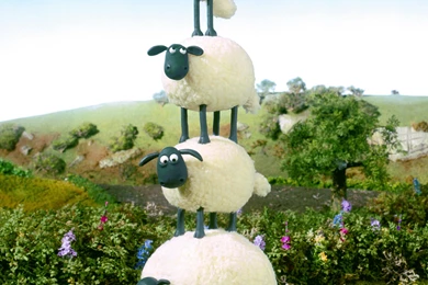 Shaun The Sheep Wallpapers