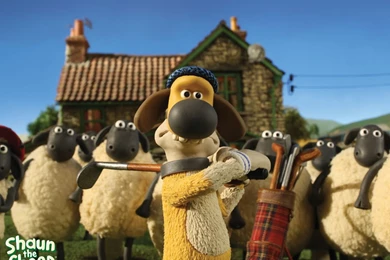 What Have They Done To Bitzer? My Green Life