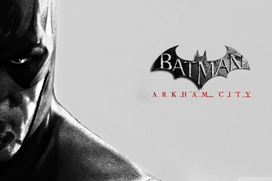 170 Batman: Arkham City HD Wallpapers