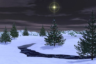 Christmas Star Wallpapers 2   Crazy Frankenstein