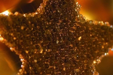 Download Christmas Star Wallpapers For iPhone 4