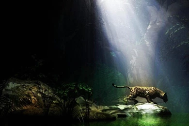 Best Free Wallpapers Sites   Wallpapers High Definition